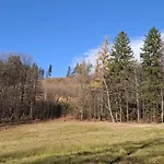 Forest Near Karpacz By Bookinghost