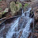 דירה Forest Near Karpacz By Bookinghost קובארה