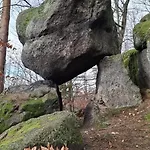 Forest Near Karpacz By Bookinghost