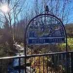 Forest Near Karpacz By Bookinghost *