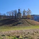 Forest Near Karpacz By Bookinghost * Kowary