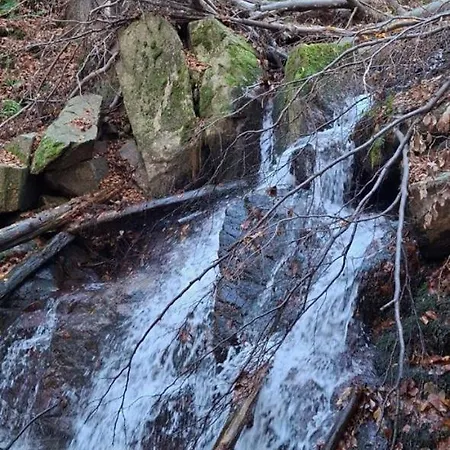 Apartmán Forest Near Karpacz By Bookinghost Kowary