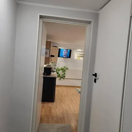 Forest Near Karpacz By Bookinghost * Kowary