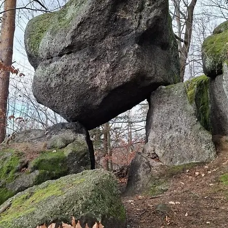 Forest Near Karpacz By Bookinghost