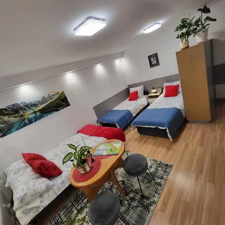 Forest Near Karpacz By Bookinghost *