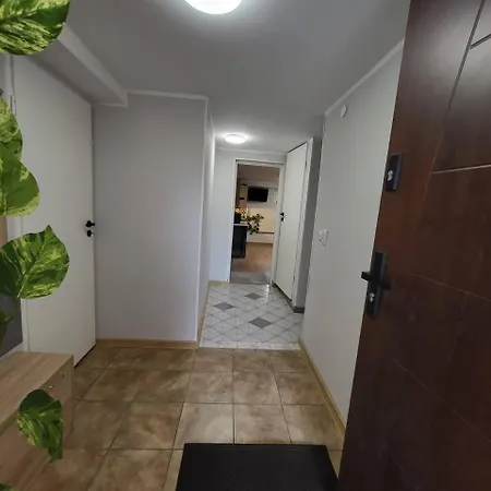 Forest Near Karpacz By Bookinghost * Kowary