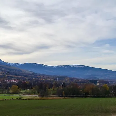 Forest Near Karpacz By Bookinghost