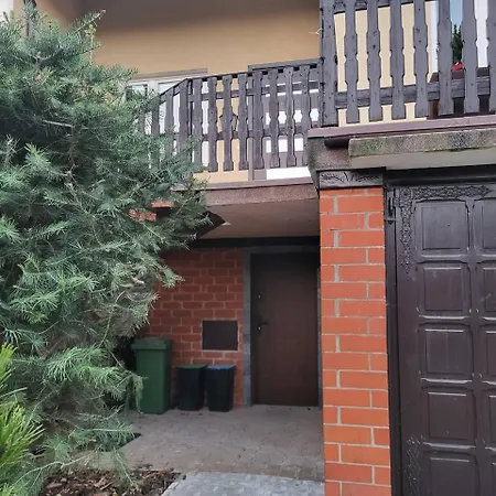 Forest Near Karpacz By Bookinghost