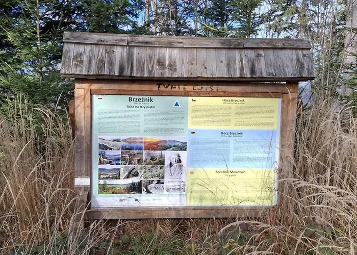 Apartment Forest Near Karpacz By Bookinghost