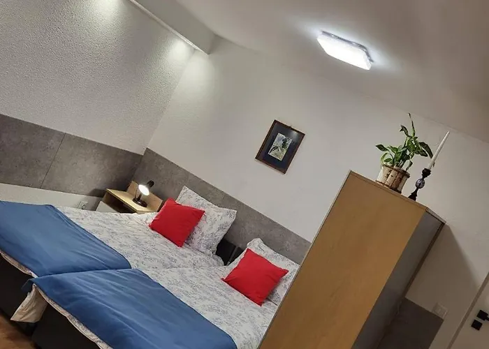 Forest Near Karpacz By Bookinghost * Kowary