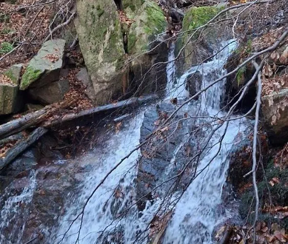 Apartment Forest Near Karpacz By Bookinghost Kowary