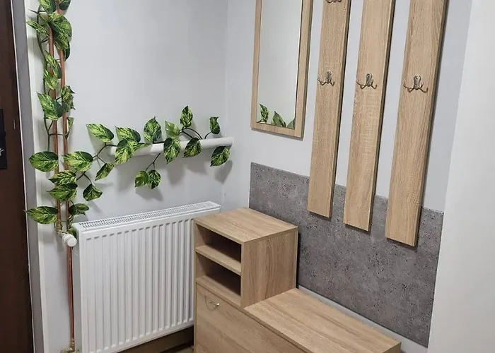 Forest Near Karpacz By Bookinghost Apartment Kowary