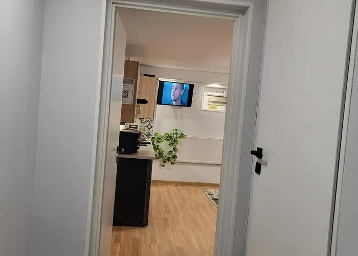 Forest Near Karpacz By Bookinghost * Kowary