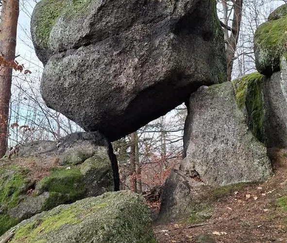 Forest Near Karpacz By Bookinghost