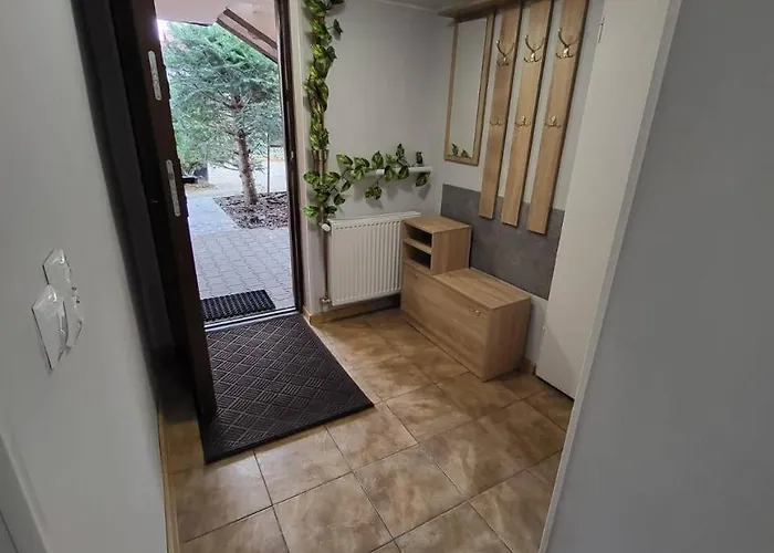 Forest Near Karpacz By Bookinghost