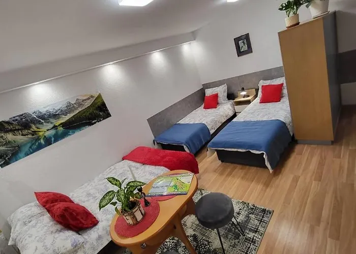 Forest Near Karpacz By Bookinghost *