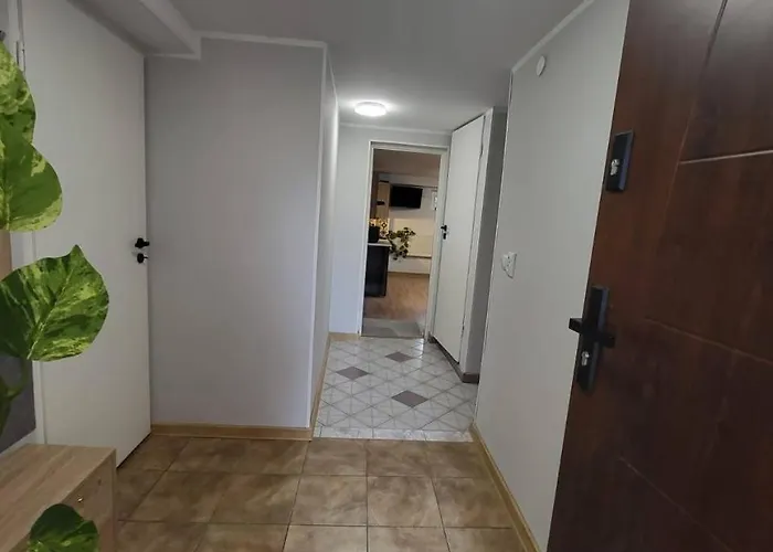 Forest Near Karpacz By Bookinghost * Kowary