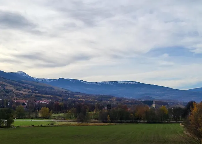 Forest Near Karpacz By Bookinghost