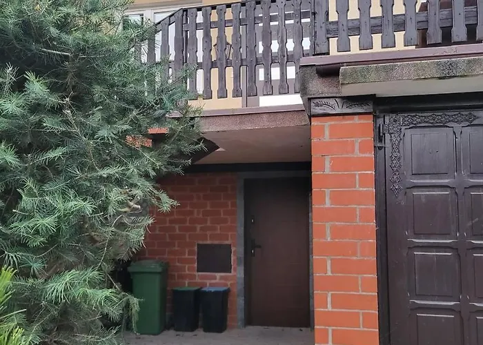 Forest Near Karpacz By Bookinghost