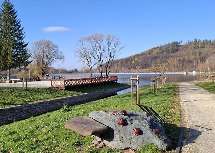 Forest Near Karpacz By Bookinghost