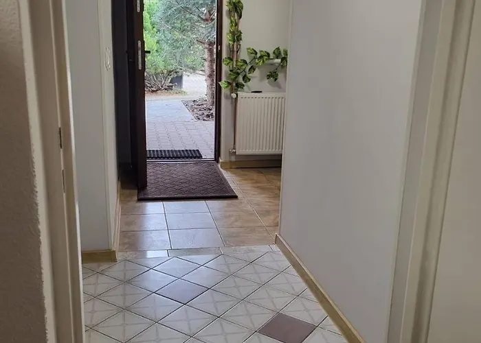 Forest Near Karpacz By Bookinghost Kowary